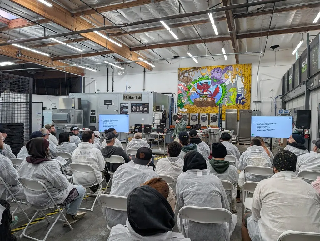 Hash makers attending a live drying class